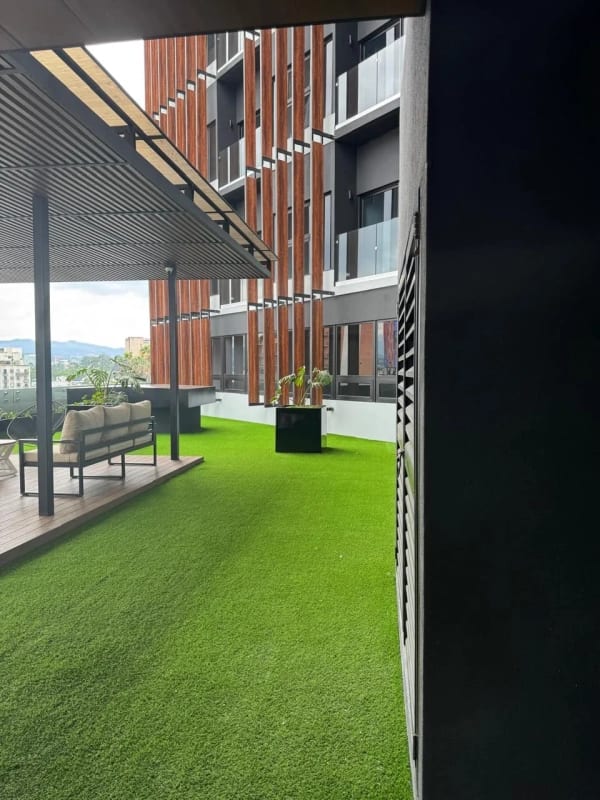 OFICINA EN RENTA EDIFICIO SÉPTIMO ZONA 4 — foto 6 de 15