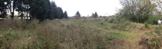 TERRENO EN VENTA UBICADO EN KM 16.5 ENTRADA DE OLMECA — miniatura 3 de 5