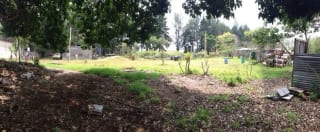 TERRENO EN VENTA UBICADO EN KM 16.5 ENTRADA DE OLMECA — miniatura 4 de 5