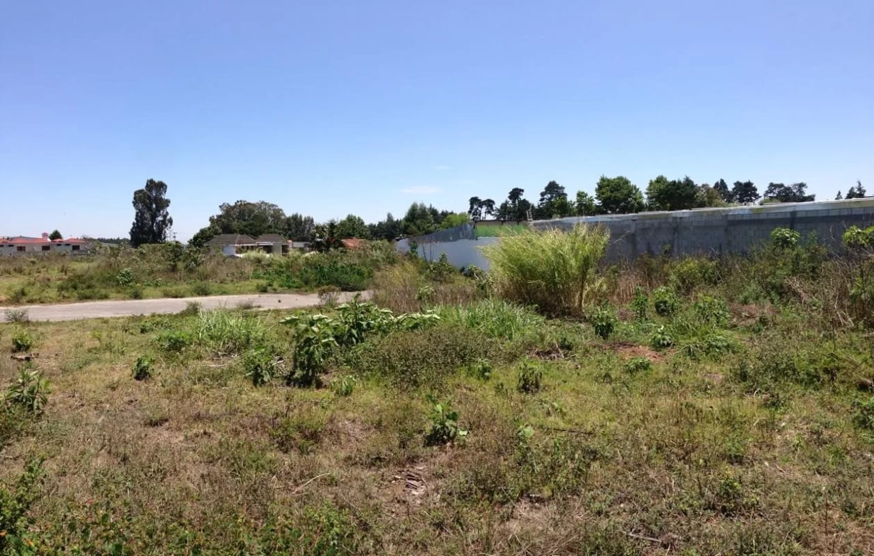 TERRENO EN VENTA UBICADO EN KM 19.9 CAES (DETRÁS DE PRISCEMART) — foto 3 de 5