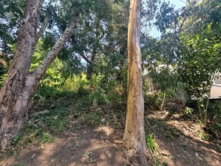 TERRENO EN VENTA SANTA ROSALÍA KM 12.5 CAES — miniatura 1 de 11