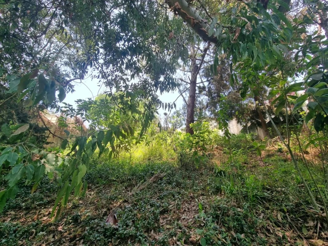 TERRENO EN VENTA SANTA ROSALÍA KM 12.5 CAES — foto 11 de 11
