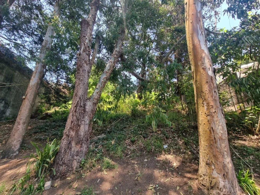 TERRENO EN VENTA SANTA ROSALÍA KM 12.5 CAES — foto 10 de 11