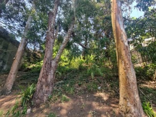 TERRENO EN VENTA SANTA ROSALÍA KM 12.5 CAES — miniatura 10 de 11