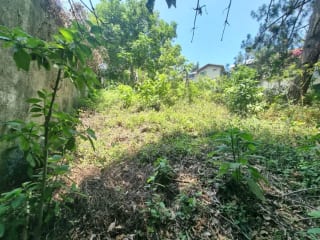 TERRENO EN VENTA SANTA ROSALÍA KM 12.5 CAES — miniatura 8 de 11