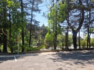 TERRENO EN VENTA SANTA ROSALÍA KM 12.5 CAES — miniatura 7 de 11