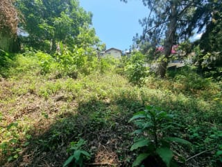 TERRENO EN VENTA SANTA ROSALÍA KM 12.5 CAES — miniatura 5 de 11