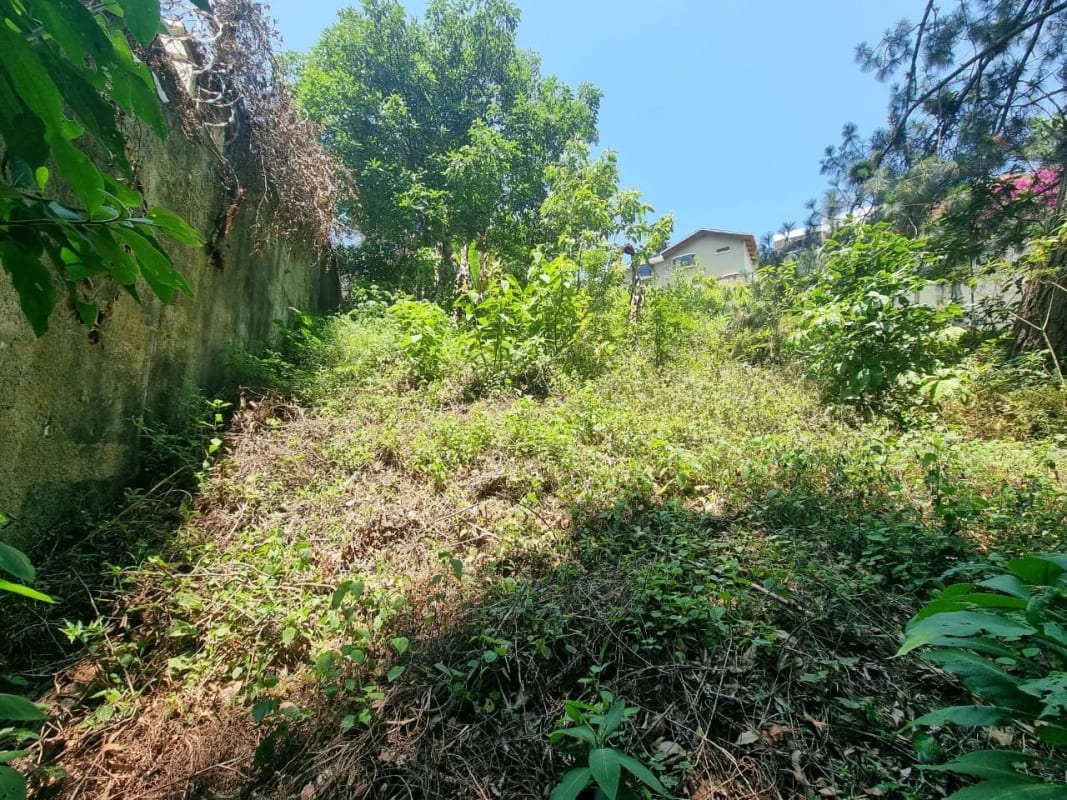 TERRENO EN VENTA SANTA ROSALÍA KM 12.5 CAES — foto 4 de 11
