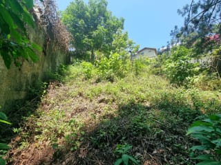 TERRENO EN VENTA SANTA ROSALÍA KM 12.5 CAES — miniatura 4 de 11
