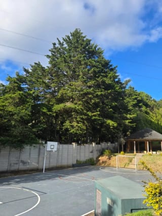 Terreno en venta Buenafuente km 16.5 Caes — miniatura 2 de 5